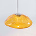Blown Glass Mesh Pendant Light - DWHOME
