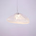 Blown Glass Mesh Pendant Light - DWHOME