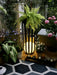 Bols Garden Solar Outdoor Lamp-DWHOME