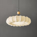 Borealis Pendant Light-DWHOME