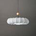 Borealis Pendant Light-DWHOME