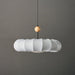 Borealis Pendant Light-DWHOME