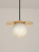 Borra Pendant Light-DWHOME