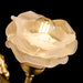 Brass Rose Wall Light-DWHOME