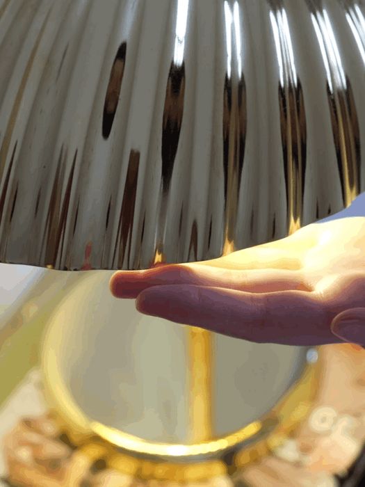 Brass Shell Table Lamp - DWHOME