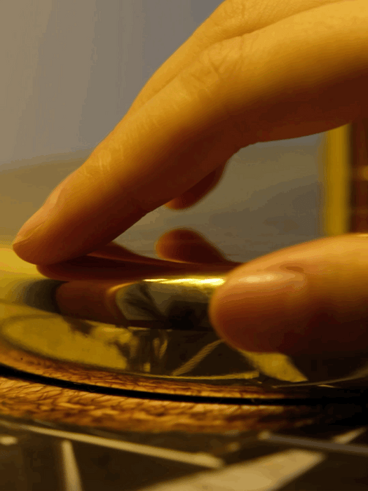 Brass Shell Table Lamp - DWHOME