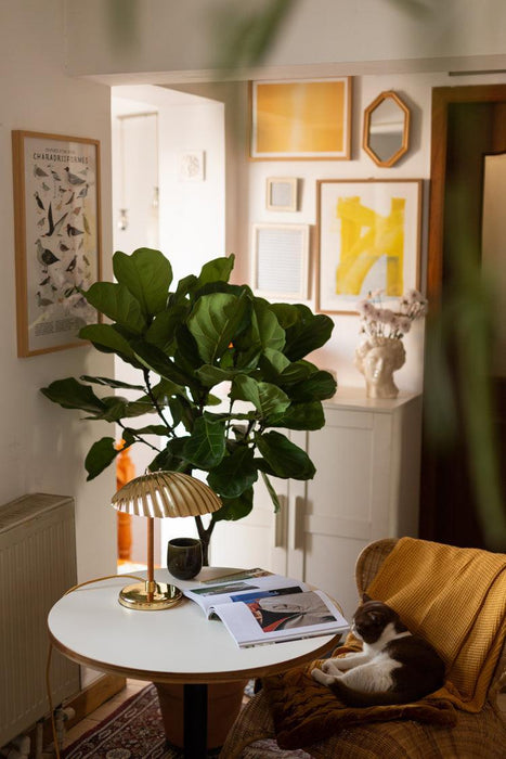 Brass Shell Table Lamp - DWHOME