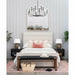 Odensa Chandelier-DWHOME