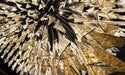 Breeze Chandelier - DWHOME