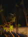Bellflower Outdoor Floor Lamp-DWHOME