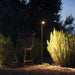 Bellflower Outdoor Floor Lamp-DWHOME