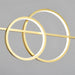 Brooklyn Double Circle Chandelier - DWHOME