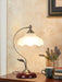 Brown Dome Table Lamp - DWHOME