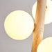 Ball Spheres Pendant Lamp-DWHOME