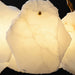 Burton Marble Round Chandelier-DWHOME
