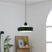 Cabras Pendant Lamp-DWHOME