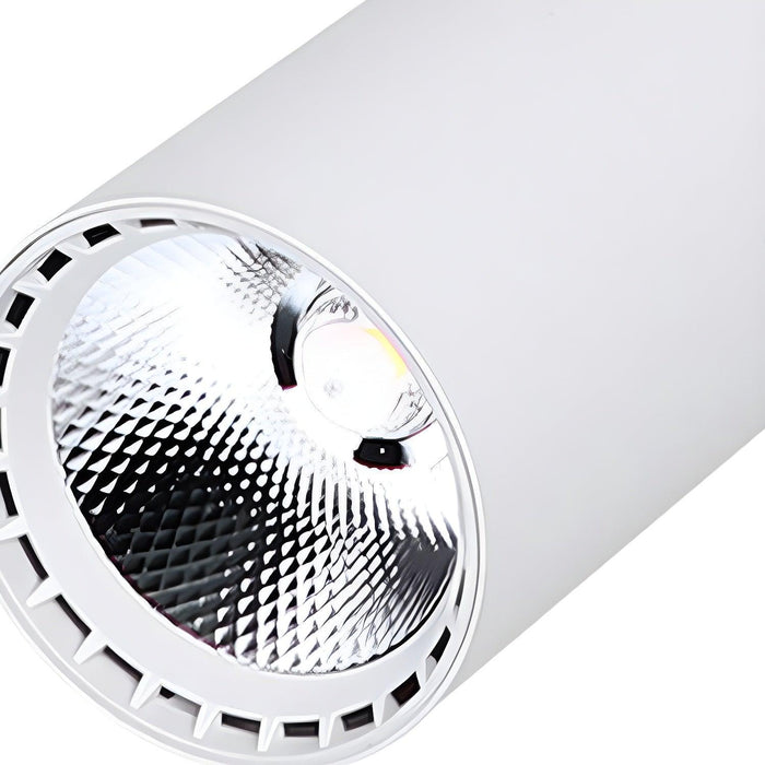 Calla Beam Spotlight-DWHOME