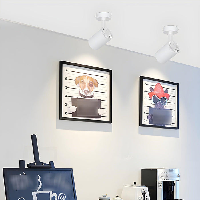 Calla Beam Spotlight-DWHOME