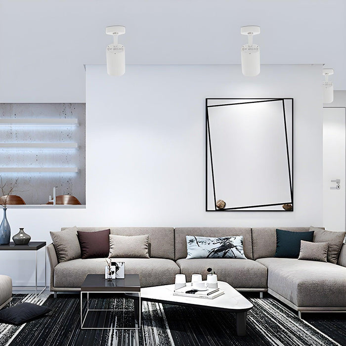 Calla Beam Spotlight-DWHOME