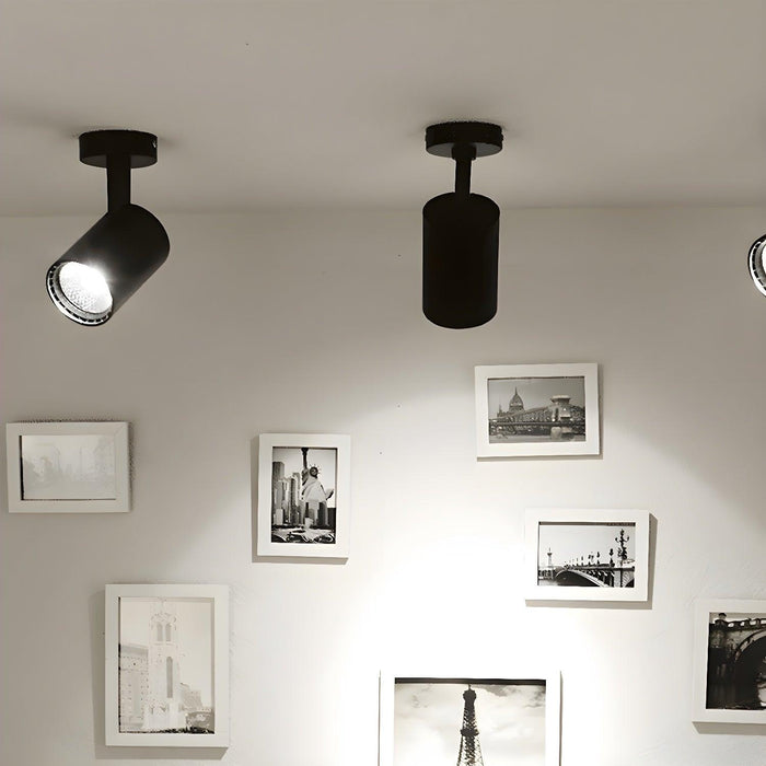 Calla Beam Spotlight-DWHOME