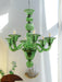 Calle Rafina Chandelier-DWHOME