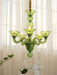 Calle Rafina Chandelier-DWHOME