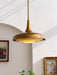 Blossom Pendant Light-DWHOME