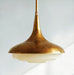 Blossom Pendant Light-DWHOME