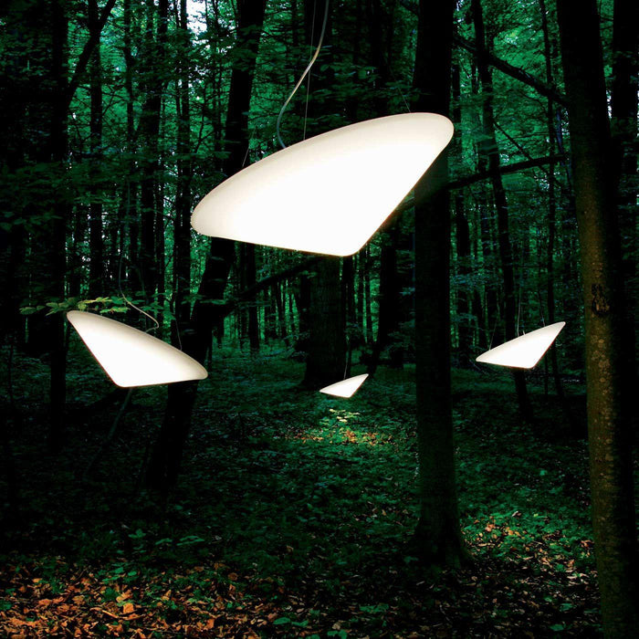 Cao Mao Pendant Light-DWHOME