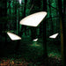 Cao Mao Pendant Light-DWHOME