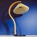 Caprani Table Lamp-DWHOME