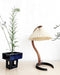 Caprani Table Lamp-DWHOME