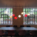 Capsula Pendant Light-DWHOME