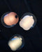Capsula Pendant Light-DWHOME