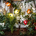 Capsula Pendant Light-DWHOME