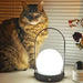 Carrie Built-in Battery Table Lamp-DWHOME