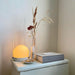 Carrie Built-in Battery Table Lamp-DWHOME