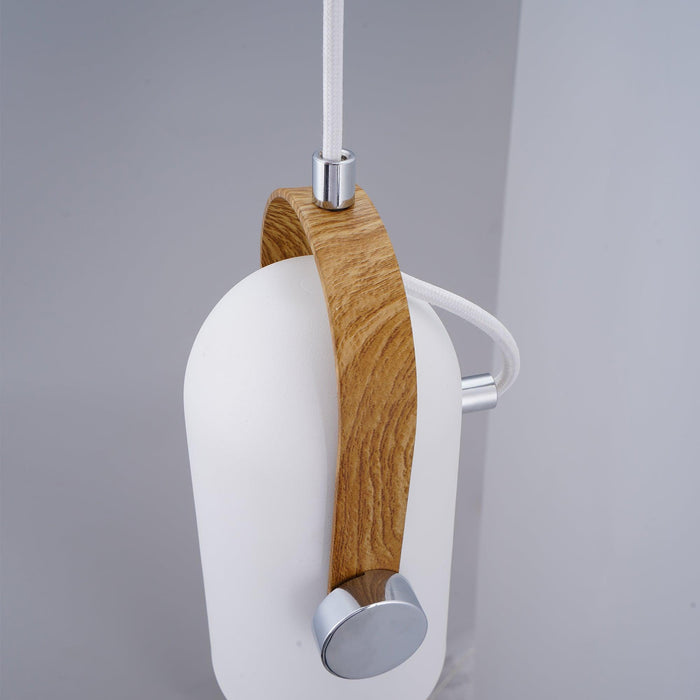Carronade Pendant Light-DWHOME