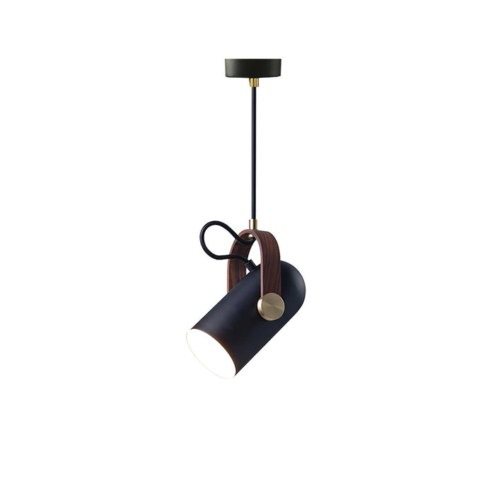 Carronade Pendant Swag Light-DWHOME
