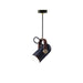 Carronade Pendant Swag Light-DWHOME