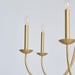 Castlehill Chandelier-DWHOME
