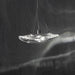 Manta Drift Chandelier - Vakkerlight