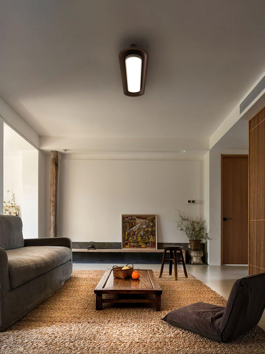 Channel Ceiling Lamp-DWHOME