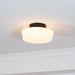 Charles Edwards Ceiling Lamp-DWHOME