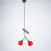 Cherry Pendant Light-DWHOME
