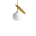 Cherry Pendant Light-DWHOME