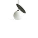 Cherry Pendant Light-DWHOME