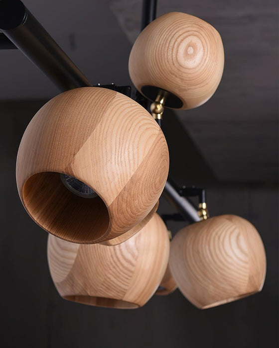 Chunhua Chandelier-DWHOME
