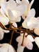 Circular Blossom Chandelier-DWHOME