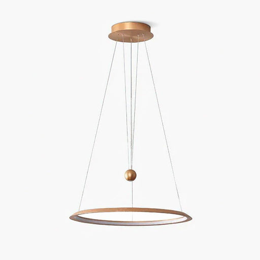 Circular LED Chandelier-DWHOME